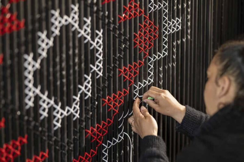 Te Puia: Te R Guided Day Tour + Haka Cultural Performance - Who Should Consider This Tour?