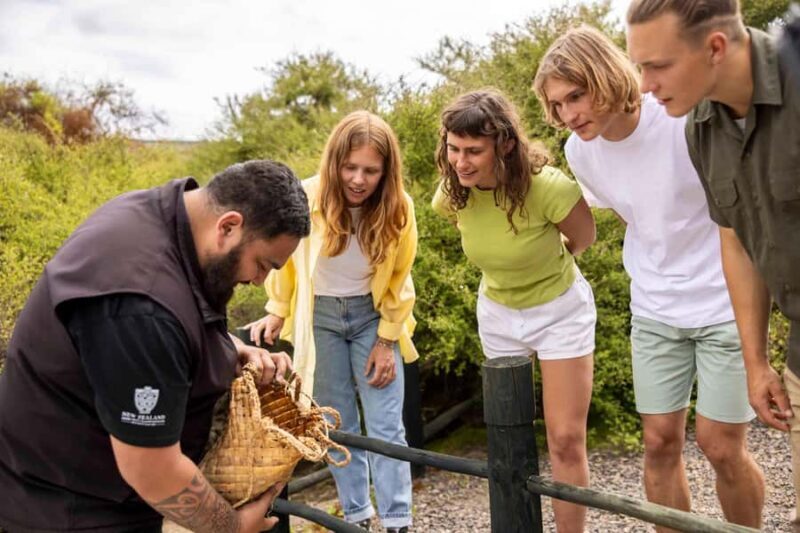 Te Puia: Tuku Iho Trail with Cultural Show - Visiting the Kiwi Conservation Centre