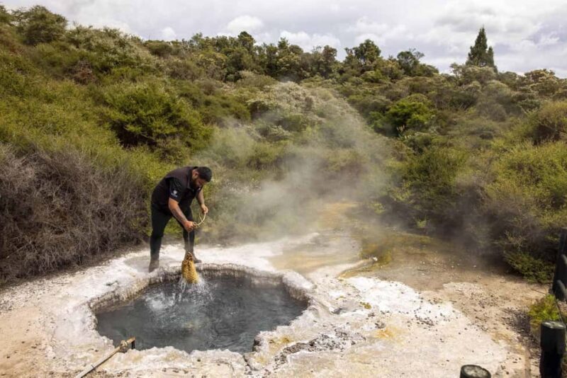 Te Puia: Tuku Iho Trail with Cultural Show - Key Points