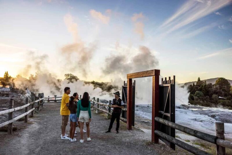 Te Puia: Tuku Iho Trail with Cultural Show - Introduction: What You Can Expect from the Te Puia Tuku Iho Trail