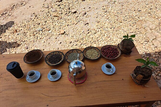Tea and coffee tours - Practical Details and Considerations