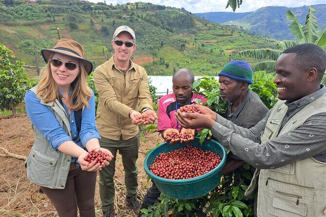 Tea and coffee tours - Is it Worth the Cost?