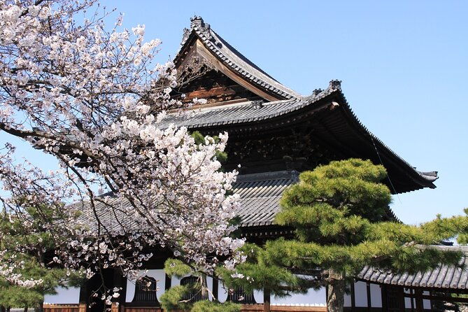 tea-ceremony-experience-nishiki-market-walking-tour