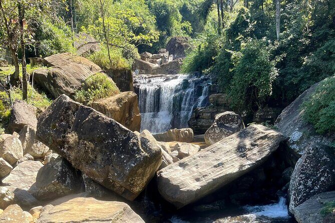 Tea Country Day Tour from Kandy - Nuwara Eliya - FAQ