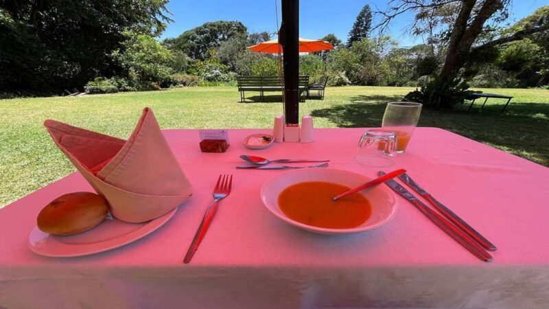 Tea Farm Tour From Nairobi (Kiambethu). - Key Points