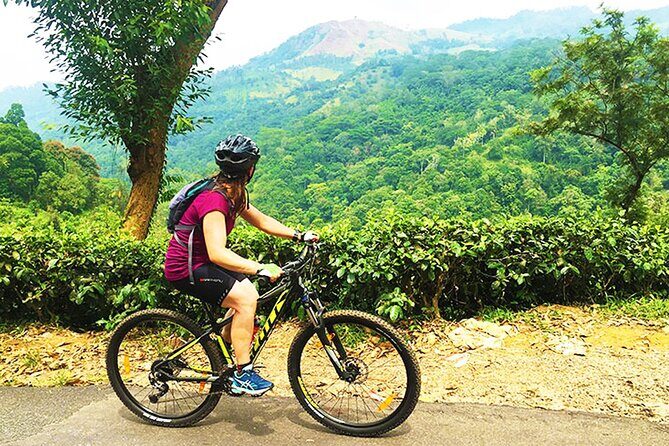 Tea Fields by Bicycle from Kandy - Discovering Kandy’s Tea Heritage on Two Wheels