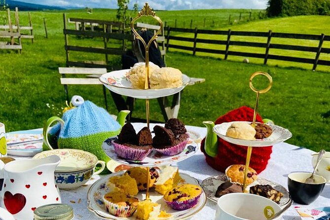 tea-with-naughty-sheep-2