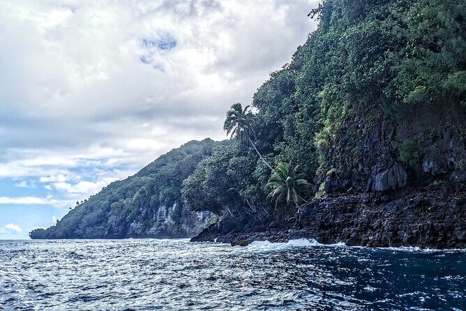Teahupo'o Jurassic Tour and Private Diving - Who Is This Tour Best For?
