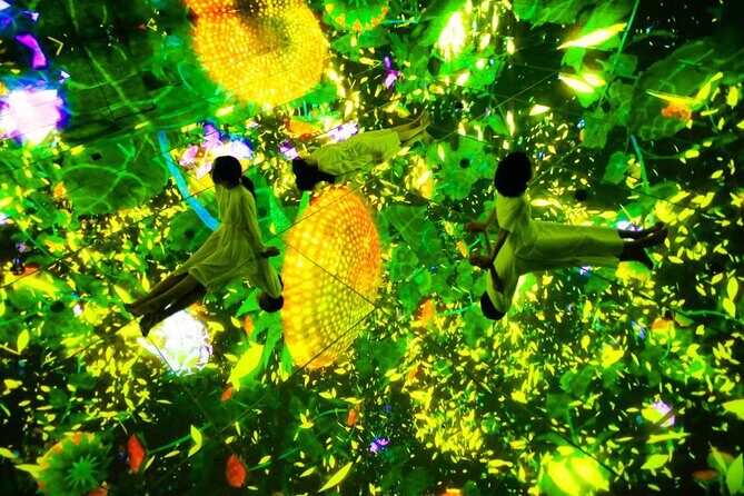 Team Lab Planets Tokyo Timed Entry Admission Ticket - Exploring the Digital Wonder of teamLab Planets Tokyo: A Review