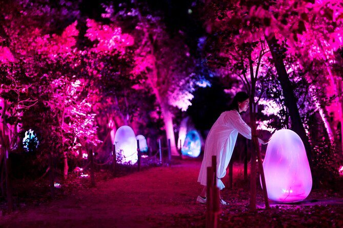 TeamLab Botanical Garden Osaka Ticket - The Itinerary in Detail