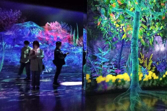 teamlab-forest-fukuoka-an-immersive-art-experience-ticket
