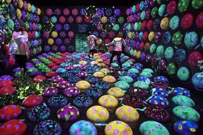 teamlab-forest-fukuoka-an-immersive-art-experience-ticket