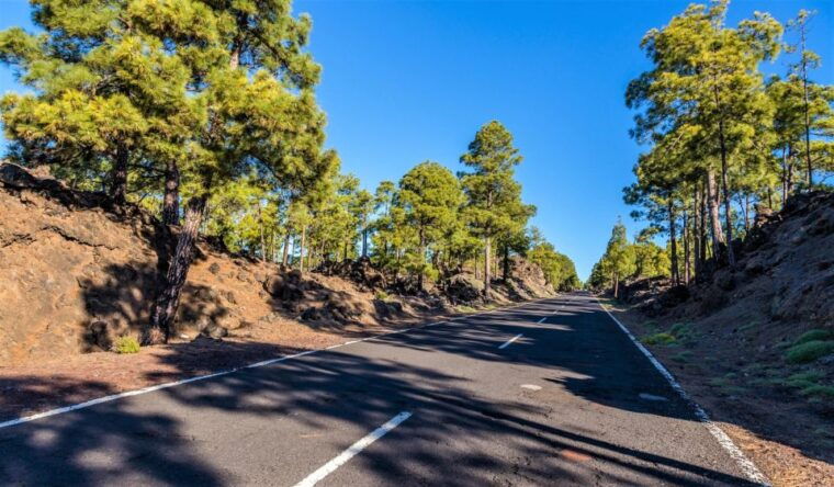 teide-guided-sunset-stargazing-tour-by-night-with-dinner