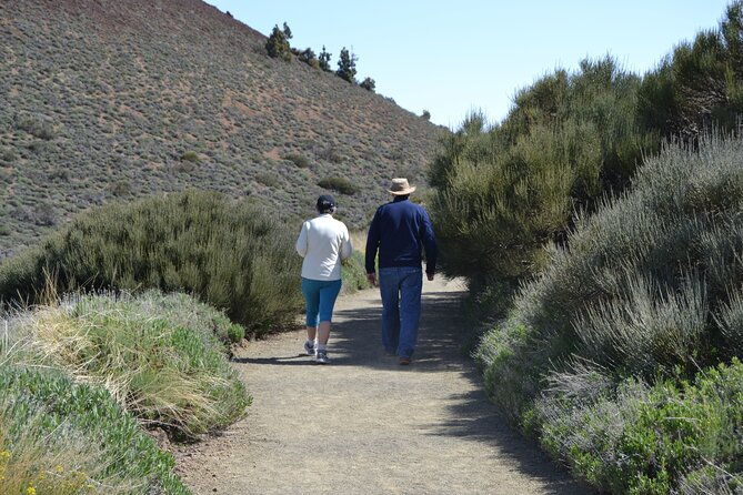 teide-hiking-hiking-private-tours