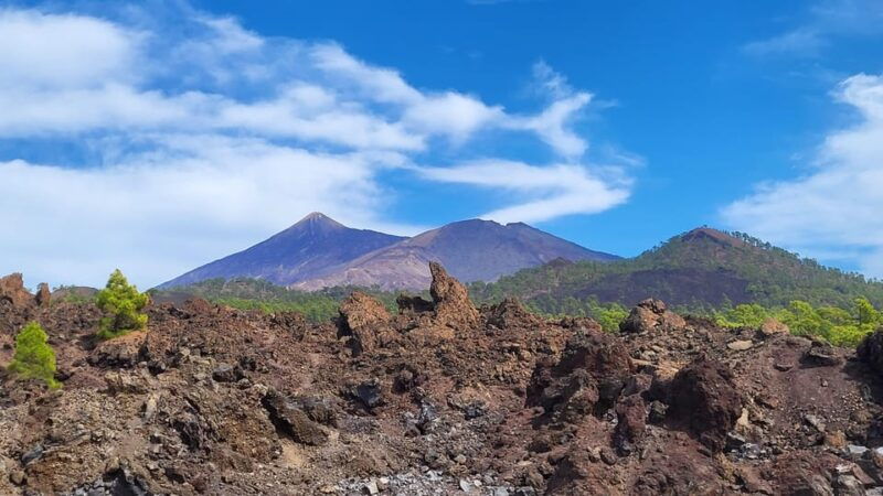 teide-national-park-and-vilaflor-local-wine-tasting
