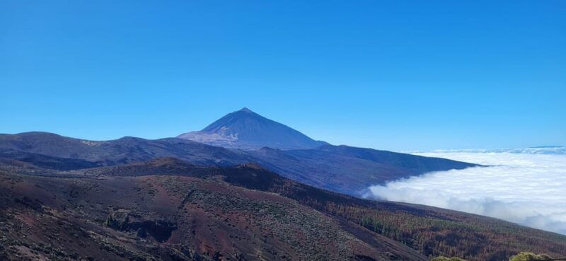 teide-national-park-and-vilaflor-local-wine-tasting