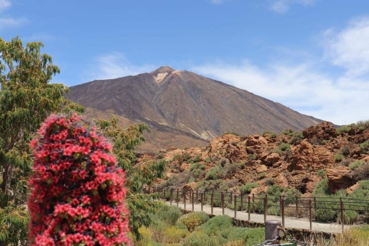 teide-national-park-and-vilaflor-local-wine-tasting