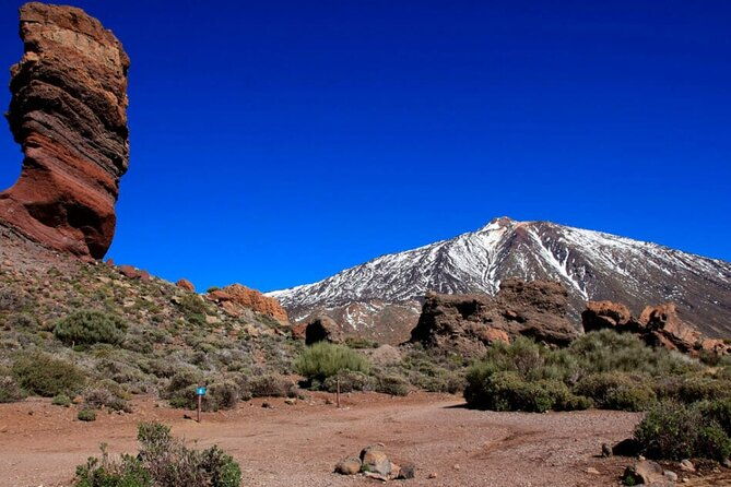 teide-national-park-full-experience-with-professional-guide