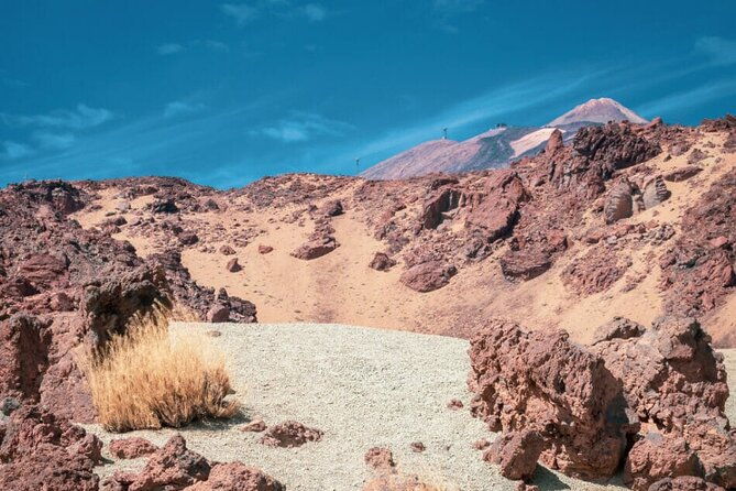 teide-national-park-full-experience-with-professional-guide
