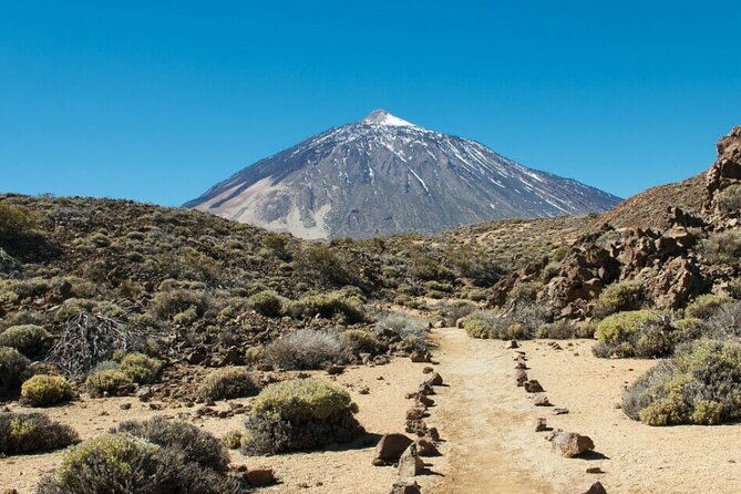 teide-national-park-full-experience-with-professional-guide