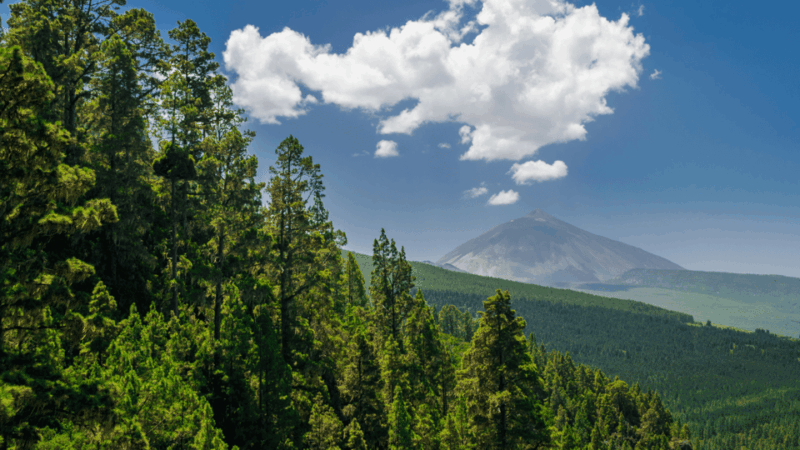teide-national-park-landscapes-and-viewpoints-private-tour