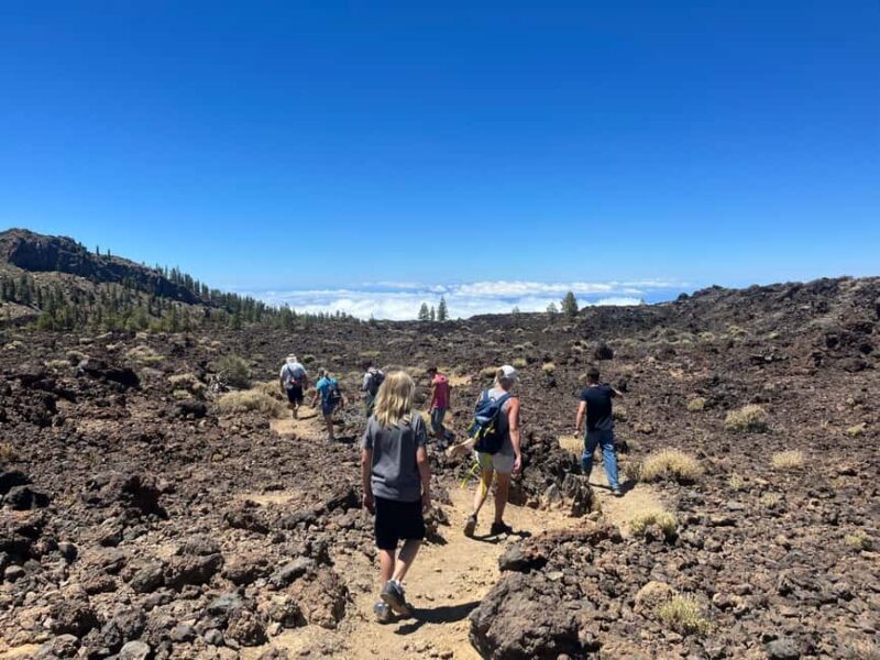 Teide & Secret Volcanoes  Tour Tenerife with a German Guide (8h) - Practical Details: What to Know Before Booking