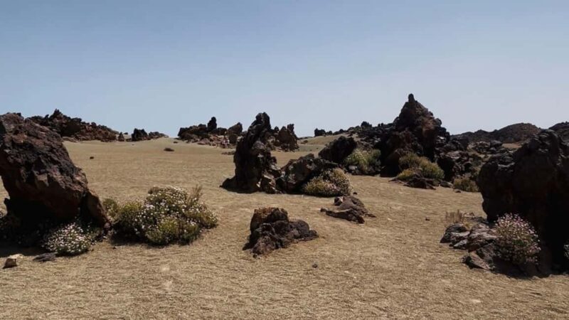 Teide & Secret Volcanoes  Tour Tenerife with a German Guide (8h) - The Sum Up