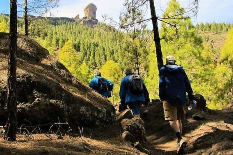 Tejeda: Roque Nublo Base Camp Xperience: Hike, Picnic & More - Who Should Book This Tour?