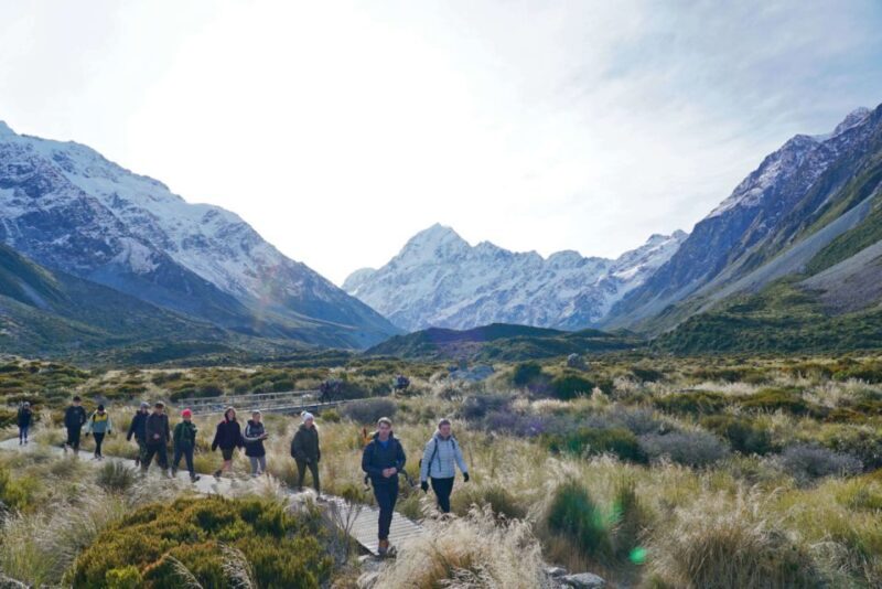 Tekapo: Mt Cook Day Tour with Pukaki, Tasman, & Tekapo Lake - A quick look at what this tour offers