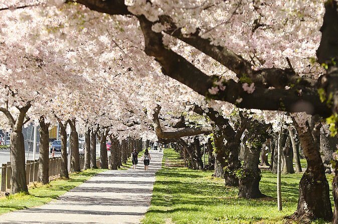 Tekapo to Christchurch Small-Group Tour (one-way) - The Practical Details