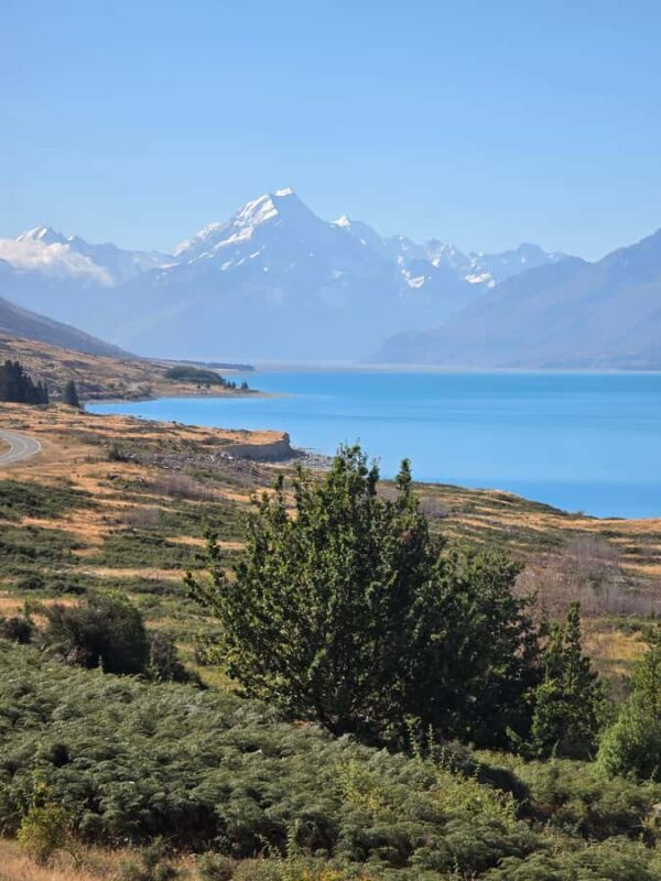 Tekapo to Mt. Cook National Park Day Tour with Driver - The Iconic Hooker Valley Track (with a caveat)