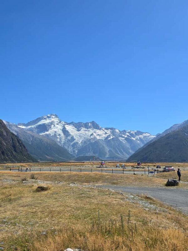 Tekapo to Mt. Cook National Park Day Tour with Driver - The Practical Side: What to Expect