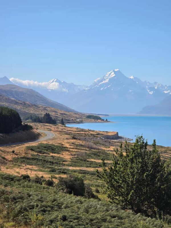 Tekapo to Mt. Cook National Park Day Tour with Driver - Transportation and Timing