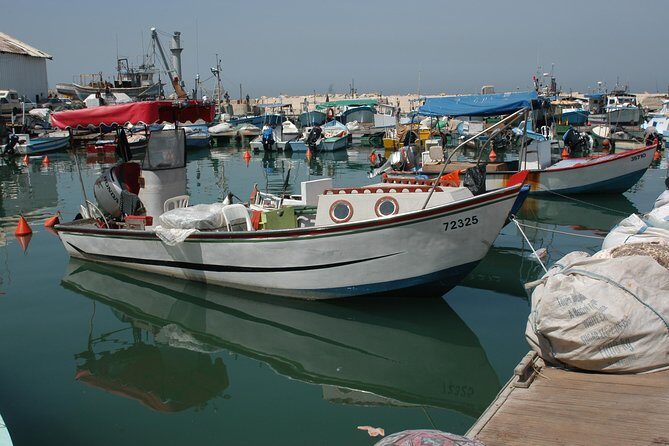 Tel Aviv and Jaffa Most Exciting Private Tour - What’s Included and What’s Not
