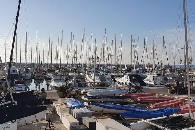 Tel Aviv Highlights Bike Tour - Final Thoughts—Who is This Tour Best For?  