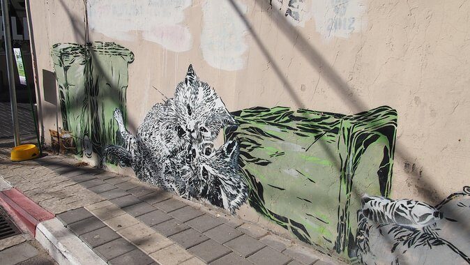 Tel Aviv Street Art Tour - The Artistic and Cultural Significance