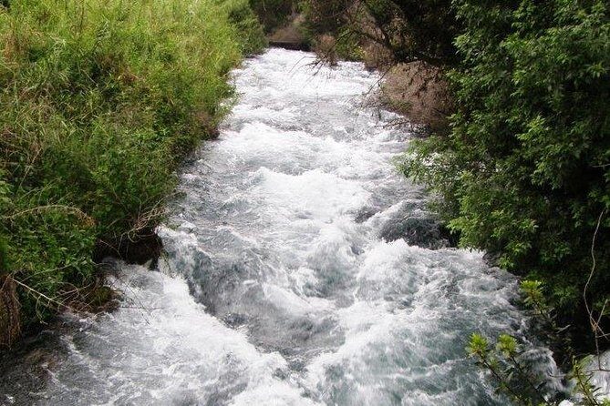 Tel Dan and Baniyas National Parks Private Tour - FAQs about the Tel Dan and Baniyas National Parks Private Tour