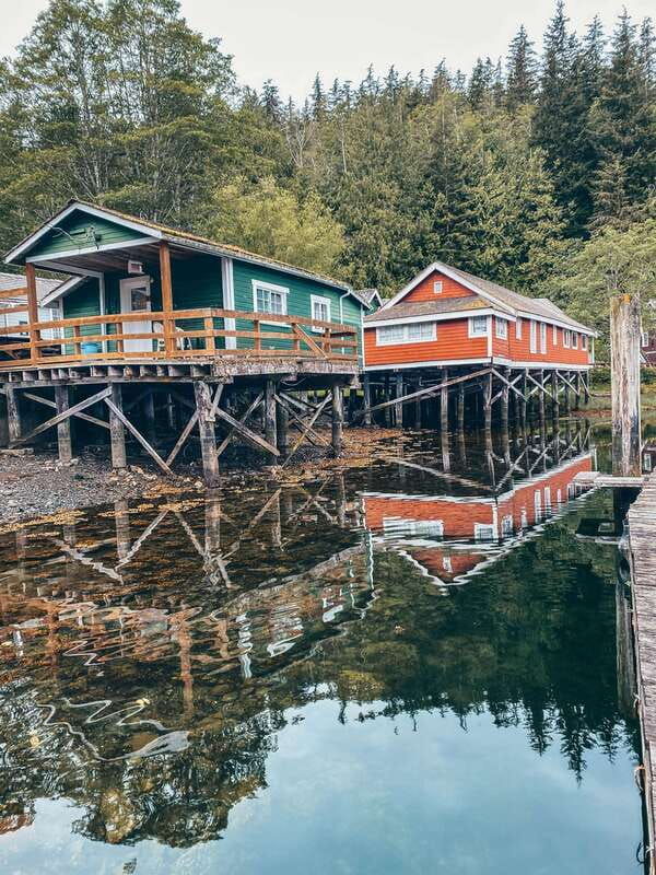 telegraph-cove-2-hour-family-fun-kayaking-tour