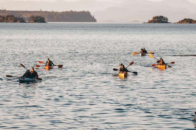 telegraph-cove-2-hour-family-fun-kayaking-tour