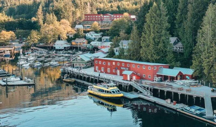 telegraph-cove-3-hour-whale-watching-tour-in-a-zodiac-boat