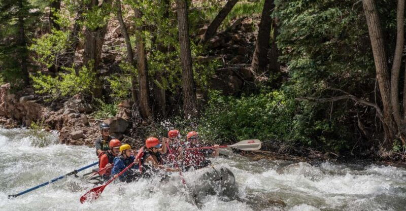 telluride-whitewater-rafting-morning-half-day