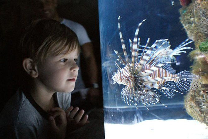 temaiken-biopark-buenos-aires-tour