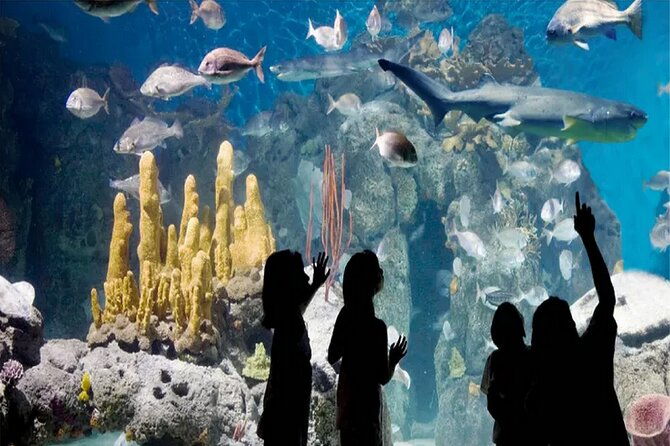 temaiken-biopark-buenos-aires-tour