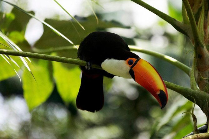 temaiken-biopark-buenos-aires-tour
