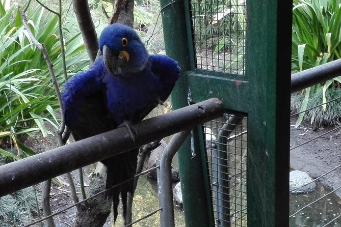 temaiken-biopark-buenos-aires-tour