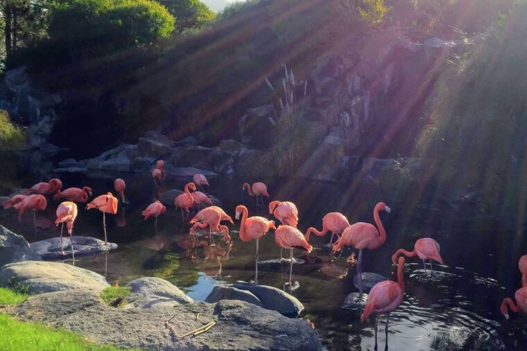 temaiken-biopark-entry-tickets