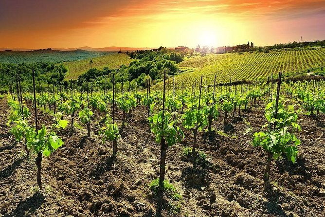 temecula-wine-country-tour-from-san-diego