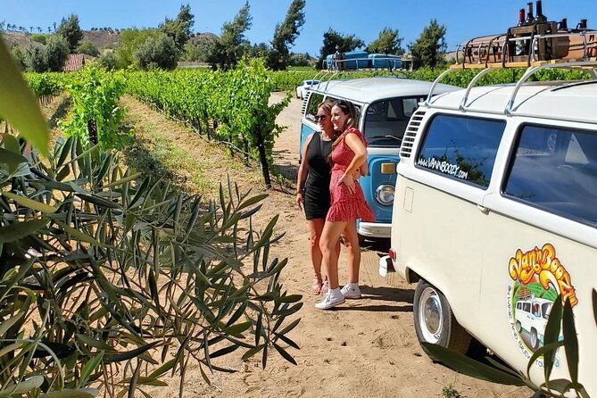 temecula-wine-tour-the-ultimate-california-experience
