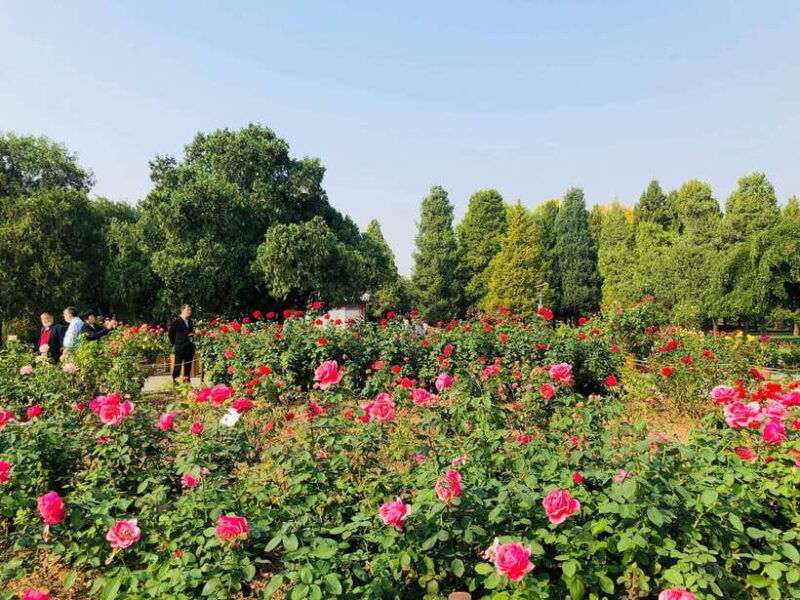 temple-of-heaven-ticket