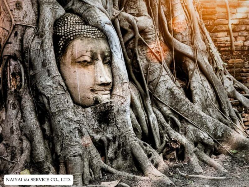 Temple Visits in Ayutthaya and a Walk Through History. - The Sum Up